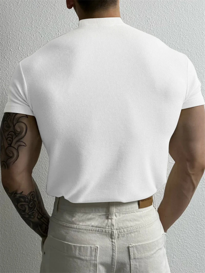 T-shirt Small high collar stripe shirt short sleeve fitness top leisure sport T-shirt Men sportswear