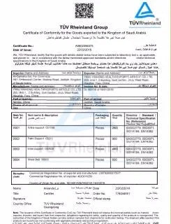 Plus Size Fashion Women's New Ripped Skinny Jeans