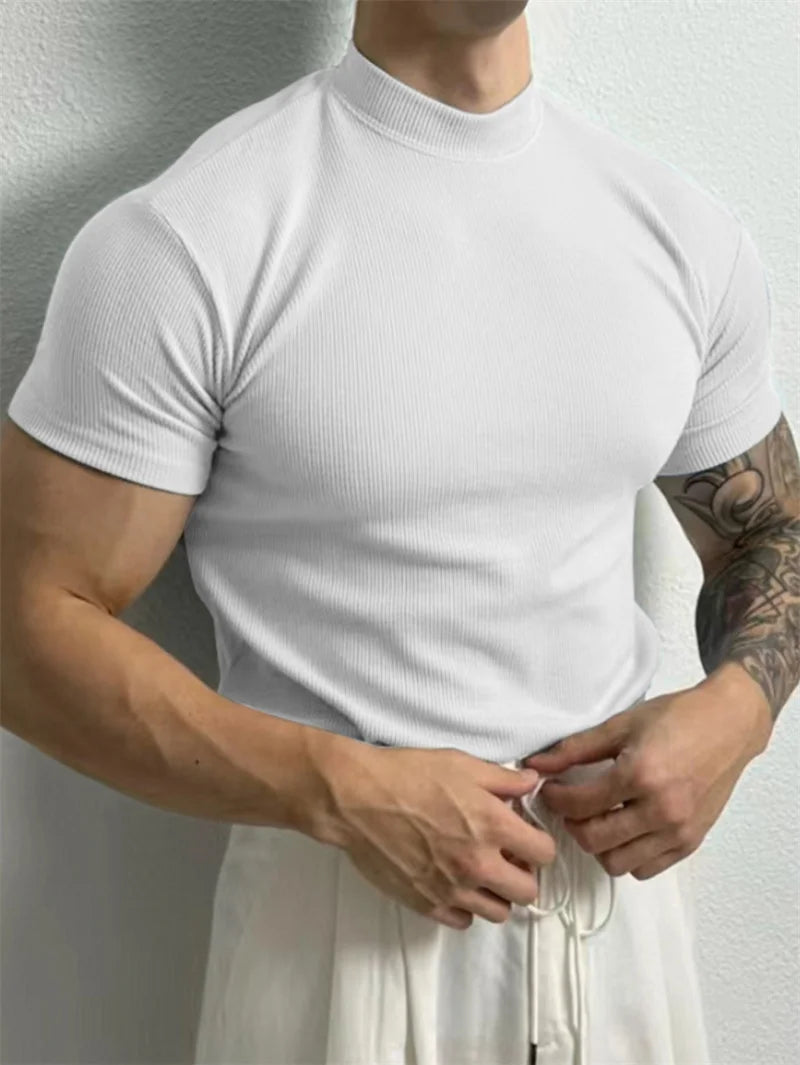 T-shirt Small high collar stripe shirt short sleeve fitness top leisure sport T-shirt Men sportswear