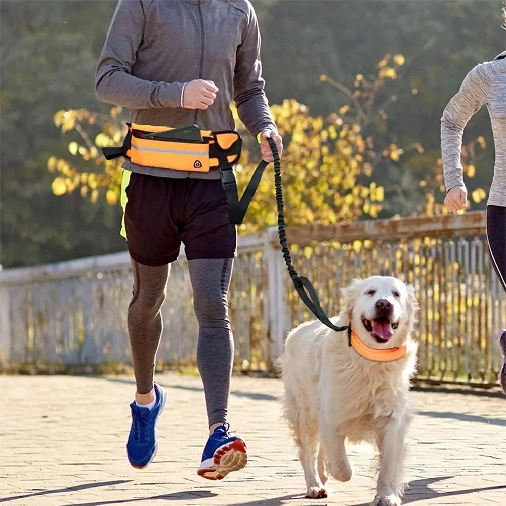 Dog Running Waist Leash Nylon Pet Leash with Waist Bag Retractable Elastic Belt Dog Traction Rope Reflective Belt Buckle