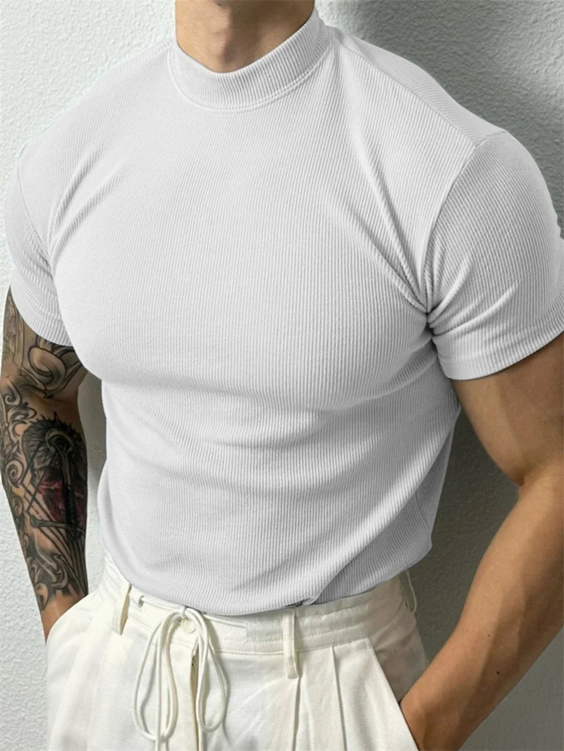 T-shirt Small high collar stripe shirt short sleeve fitness top leisure sport T-shirt Men sportswear