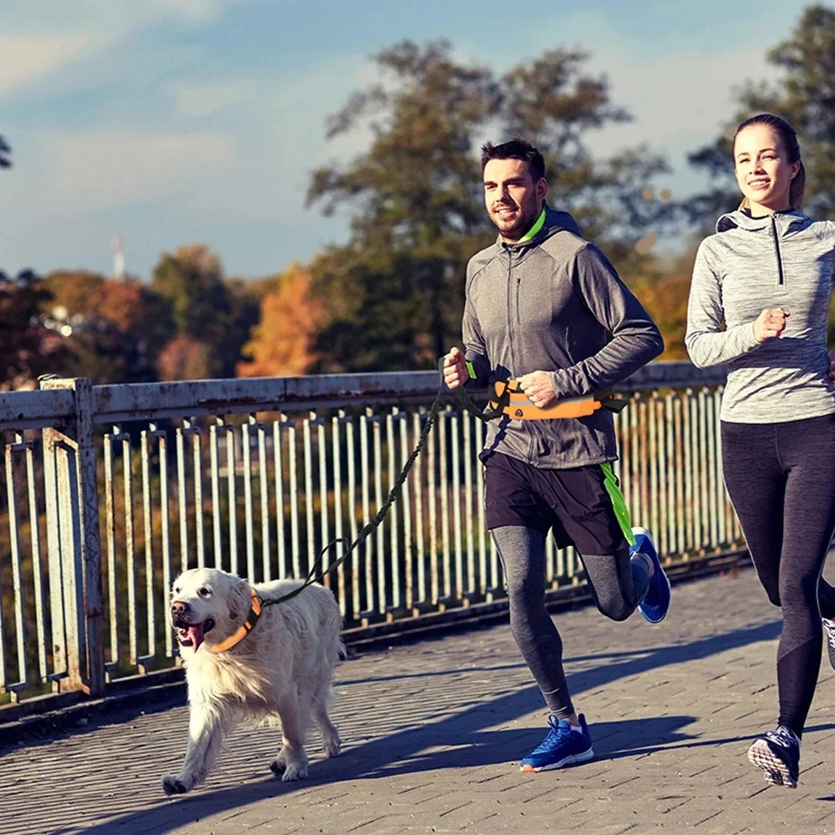Dog Running Waist Leash Nylon Pet Leash with Waist Bag Retractable Elastic Belt Dog Traction Rope Reflective Belt Buckle